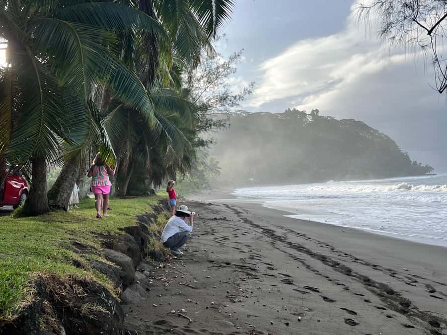 Tahiti: Unique East Coast Half Day Tour with Local Guide - Bay of Matavai and Point Venus: explorers, Venus, and monuments