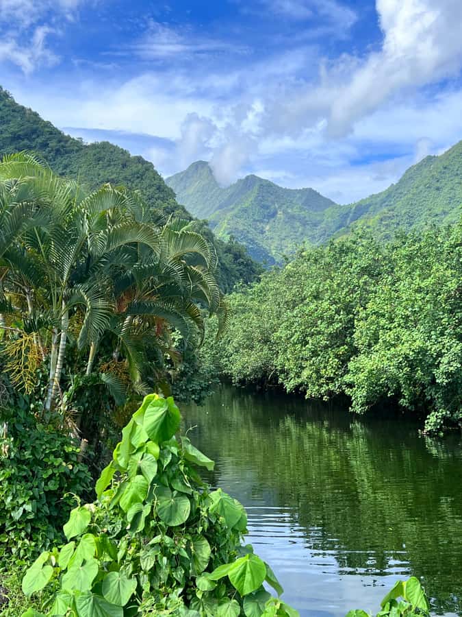 Tahiti: Unique Full Day West Coast, Combo Tour to Teahupoo - Papara coconut oil and Monoi at Tahitian Secrets