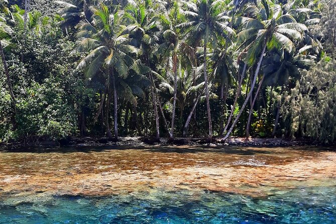 Teahupoo Olympic Wave Journey - Vaipahi Water Gardens, tropical fruit breaks, and a quieter kind of Tahiti