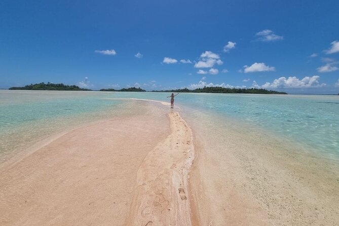 The Blue Lagoon by private boat - Getting on the water early: pickup, dolphins, and first snorkeling
