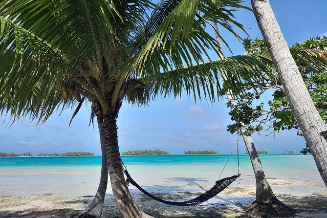 The Blue Lagoon by private boat - Shark nursery snorkeling: one of the day’s biggest highlights