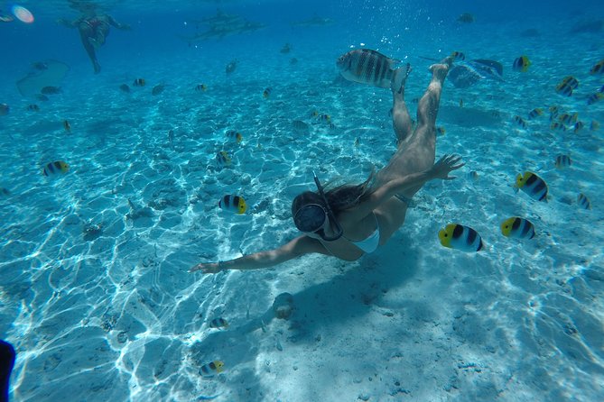 Toa Boat Bora Bora Private Lagoon tour On Ambassador Boat - Comfortable gear, unlimited drinks, and quick clean-up onboard