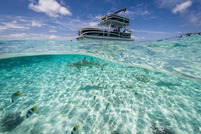 Toa Boat Bora Bora Private Lagoon tour On Ambassador Boat - The day’s rhythm: 4 hours that stay focused on the water