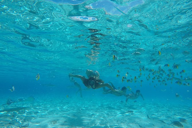 Toa Boat Bora Bora Private Lagoon tour with Lunch on Entertainer Bar Boat - Polynesian music and local storytelling, without the tourist script