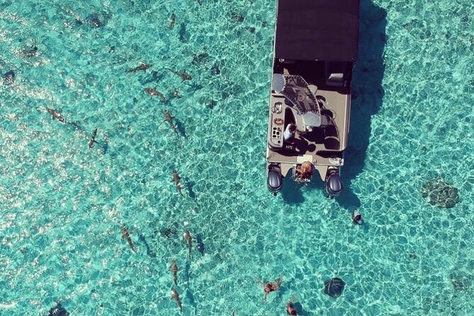 Toa Boat Bora Bora Private Lagoon tour with Lunch on Entertainer Bar Boat - Price and value: what $795 buys you in Bora Bora