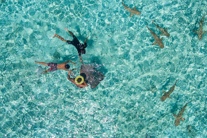 Toa Boat Bora Bora Private Lagoon tour with Lunch On Majestic Pontoon Boat - Boat comfort and practical safety you can feel