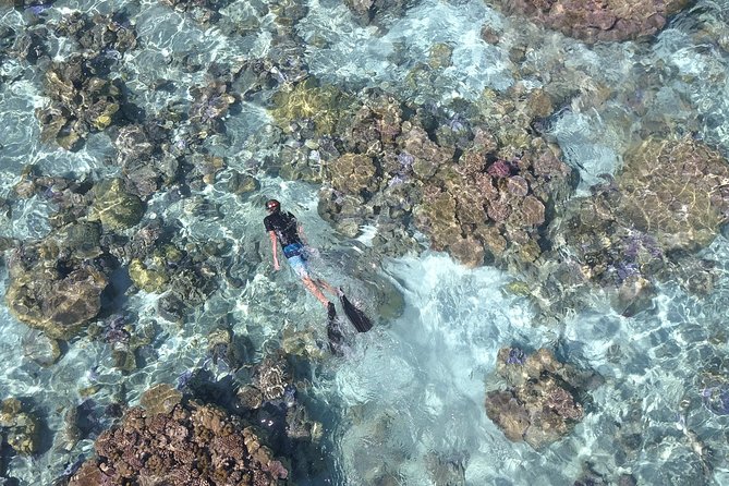 Tohora Bora Bora Snorkeling Lagoon Tours - The lagoon plan, plus what changes when the water gets choppy
