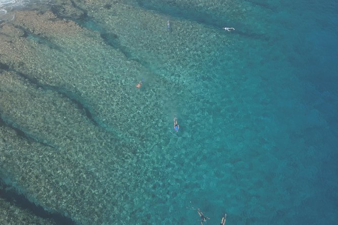 Tohora Bora Bora Snorkeling Lagoon Tours - Price and value: is $175.78 worth it in Bora Bora?
