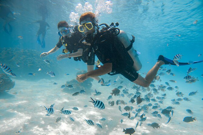 Underwater Scooter - What you get back on shore: towels, snacks, and photos