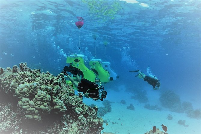 Underwater Scooter - Who should book this underwater scooter tour