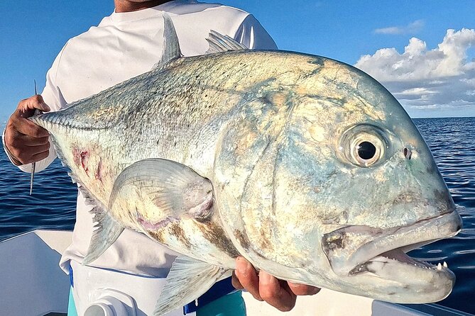 Unique in Raiatea: discover the lagoon, fish, cook, enjoy! - Cooking your catch on a motu: the part that turns a tour into a story