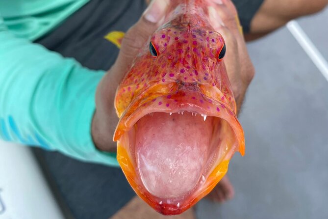 Unique in Raiatea: discover the lagoon, fish, cook, enjoy! - Who this is for, and who should skip it