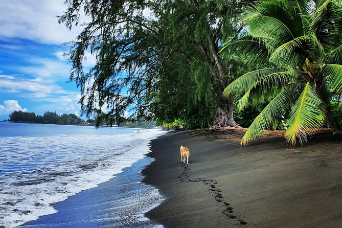 Unique Tahiti Tour - personalised, small group east coast tour - Waterfalls, hilltop views, and the Papenoo valley effect