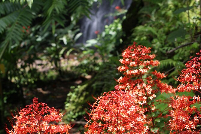 Unique Tahiti tour to Teahupoo, small group, full day combo tour - Arahurahu Marae: sacred valley temples with a clear cultural explanation