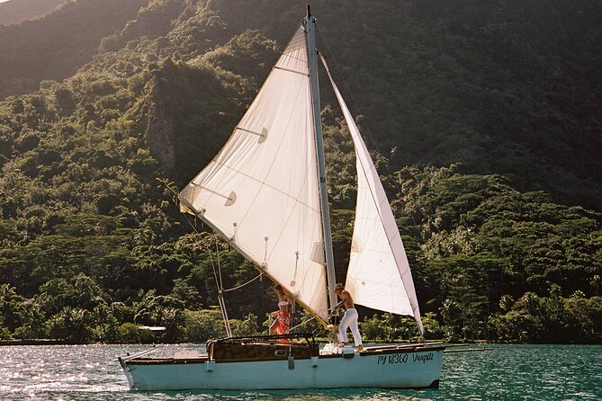 Vaapiti private sunset - Snorkeling for turtles, rays, sharks, and coral gardens