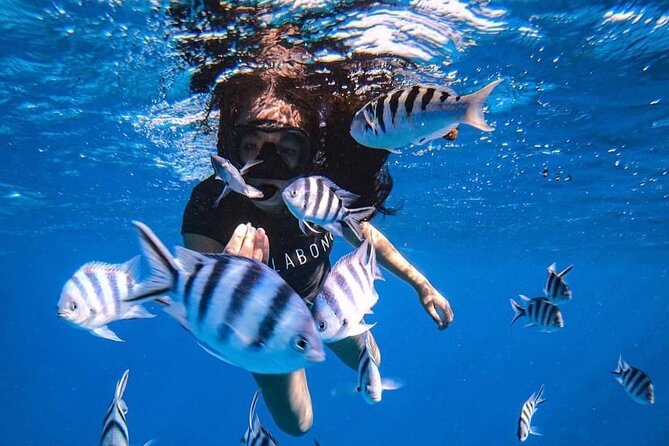 Want to escape? Treat yourself to a snorkeling session in Tahiti! - Fast reasons to go