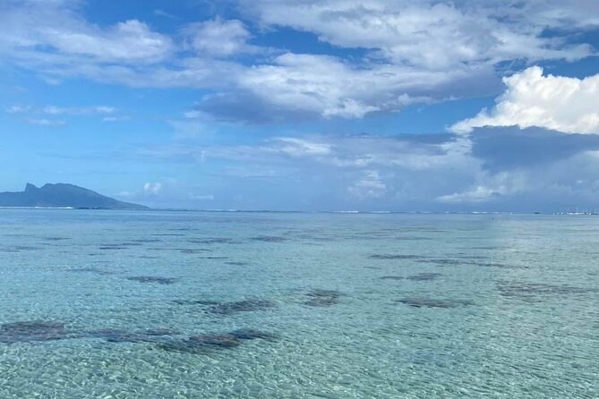 Want to escape? Treat yourself to a snorkeling session in Tahiti! - Price and what you actually get for $120