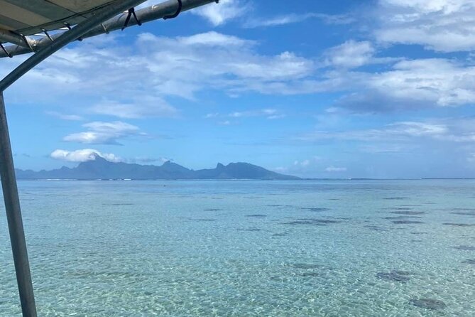 Want to escape? Treat yourself to a snorkeling session in Tahiti! - Stop-by-stop: Taapuna Wave and Nuuroa Bay dolphins