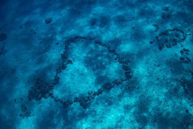 Want to escape? Treat yourself to a snorkeling session in Tahiti! - Gear, snacks, and what to bring from home