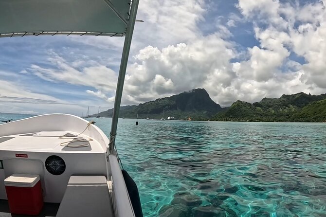 Watch and Swim with Humpback Whales in Moorea - From Coco Beach meeting point to the whale search