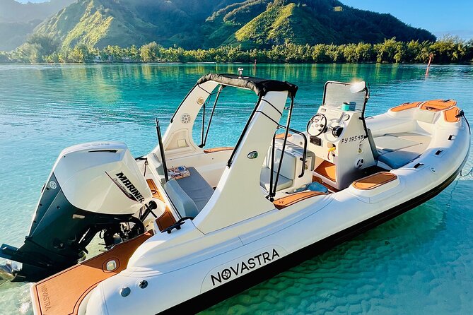 Watch and Swim with Humpback Whales in Moorea - Watching first, then snorkeling alongside humpbacks