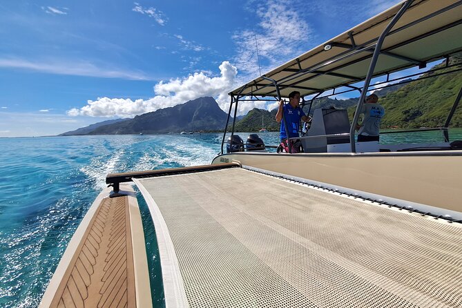Watch and Swim with Humpback Whales in Moorea - The day can include whale surprises (humpbacks, and more)
