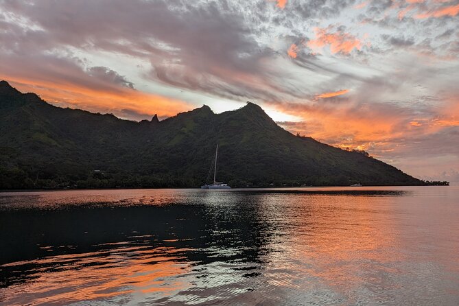 Whale watching 6 people half day - Price and value: is $273.29 per person a smart use of your Moorea time?