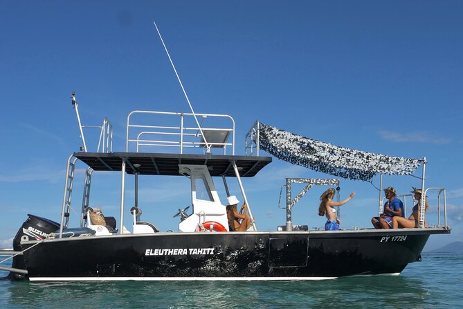 Whale Watching Activity - Humpback whale season in Tahiti, and why timing matters