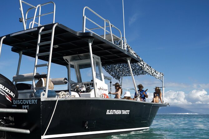 Whale Watching Activity - Safety, gear, and the crew names you’ll hear on board