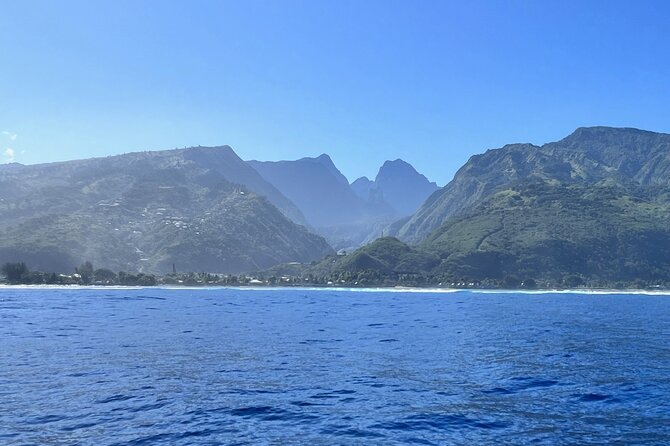 Whale watching DE Humpback West Coast of Tahiti - Why this morning humpback trip works in Tahiti