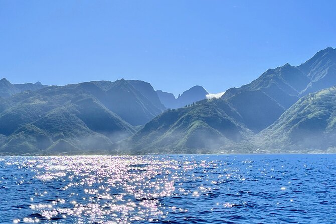 Whale watching DE Humpback West Coast of Tahiti - The whale launch and swim rules: when you can get in the water