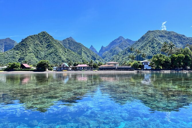 Whale watching DE Tahiti Peninsula - Key things to know before you go
