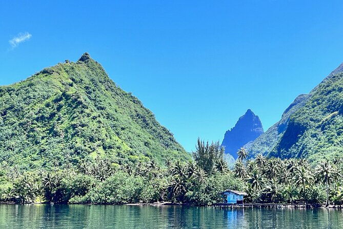 Whale watching DE Tahiti Peninsula - Whale season on the Tahiti Peninsula, and why dates matter