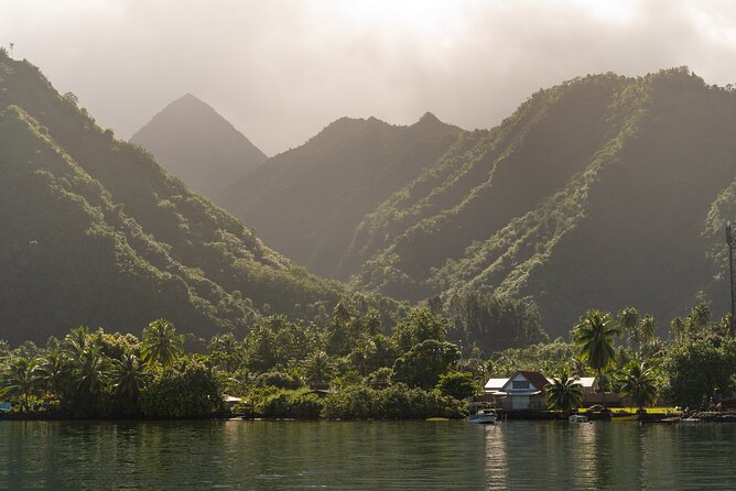 Whale watching DE Tahiti Peninsula - Observation versus whale launch: managing expectations the right way