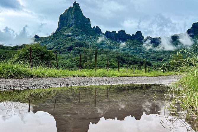Whale watching in Moorea - The whale swim rules: strong swimmer only, about 150m round trip