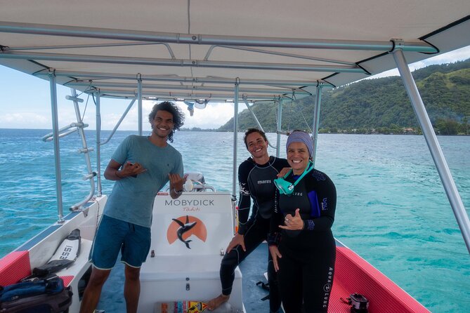 Whale watching on the preserved and quiet coast of Paea (Pk26) - Meeting point, no pickup, and how to avoid a stressful start