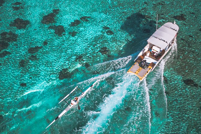 Whale Watching Shared Half Day - Whale-respectful tactics: how the crew avoids crowding