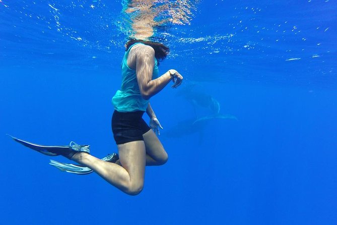 Whale Watching Tours in Bora Bora - Hearing humpback songs through the directional hydrophone