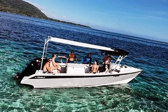 Wholesale Fishing in Poti Marara at Tahiti Teahupoo Peninsula - The 4-hour wholesale fishing session: how it usually plays out