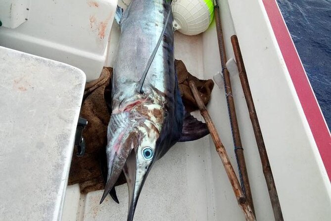 Wholesale Fishing in Poti Marara at Tahiti Teahupoo Peninsula - Weather and sea conditions: your main practical risk